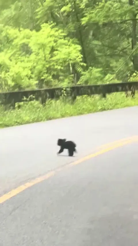 🔥 Tell everybody I’m on my way