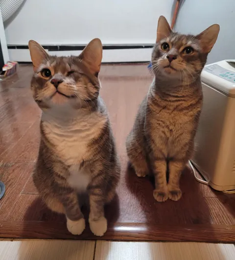 hahaha dumb gray idiots don't know about daylight savings......