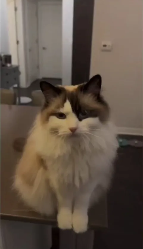 She’s the prettiest girl I ever seen 😍