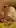 Amateur Big Dick Cum Cum In Mouth Cumshot Cute Facial Homemade cumslut