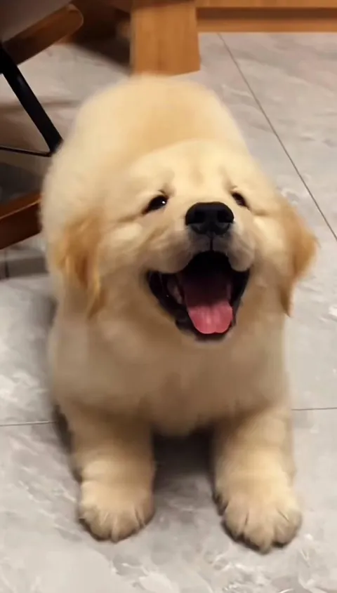 he's always so excited