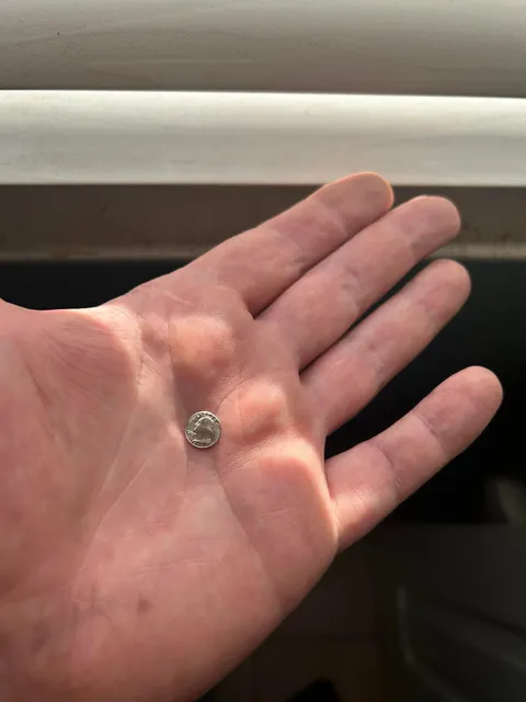 I’m not a giant! What is this?