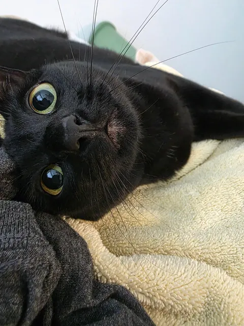 The Void that brings me peace