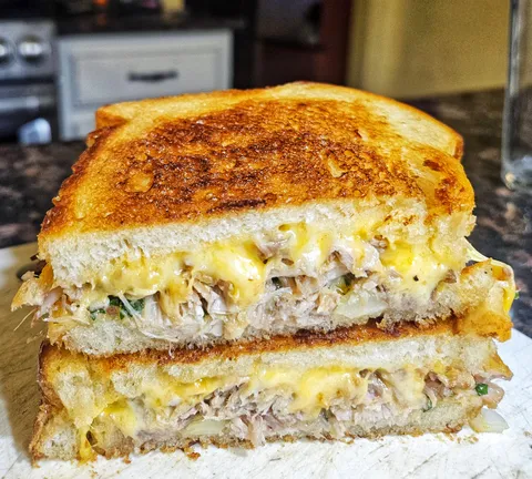 [homemade] Carnitas melt.