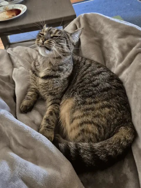 When you smell your mom preparing the GOOD food