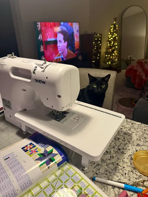 Quilting kitty 🧵🐈‍⬛