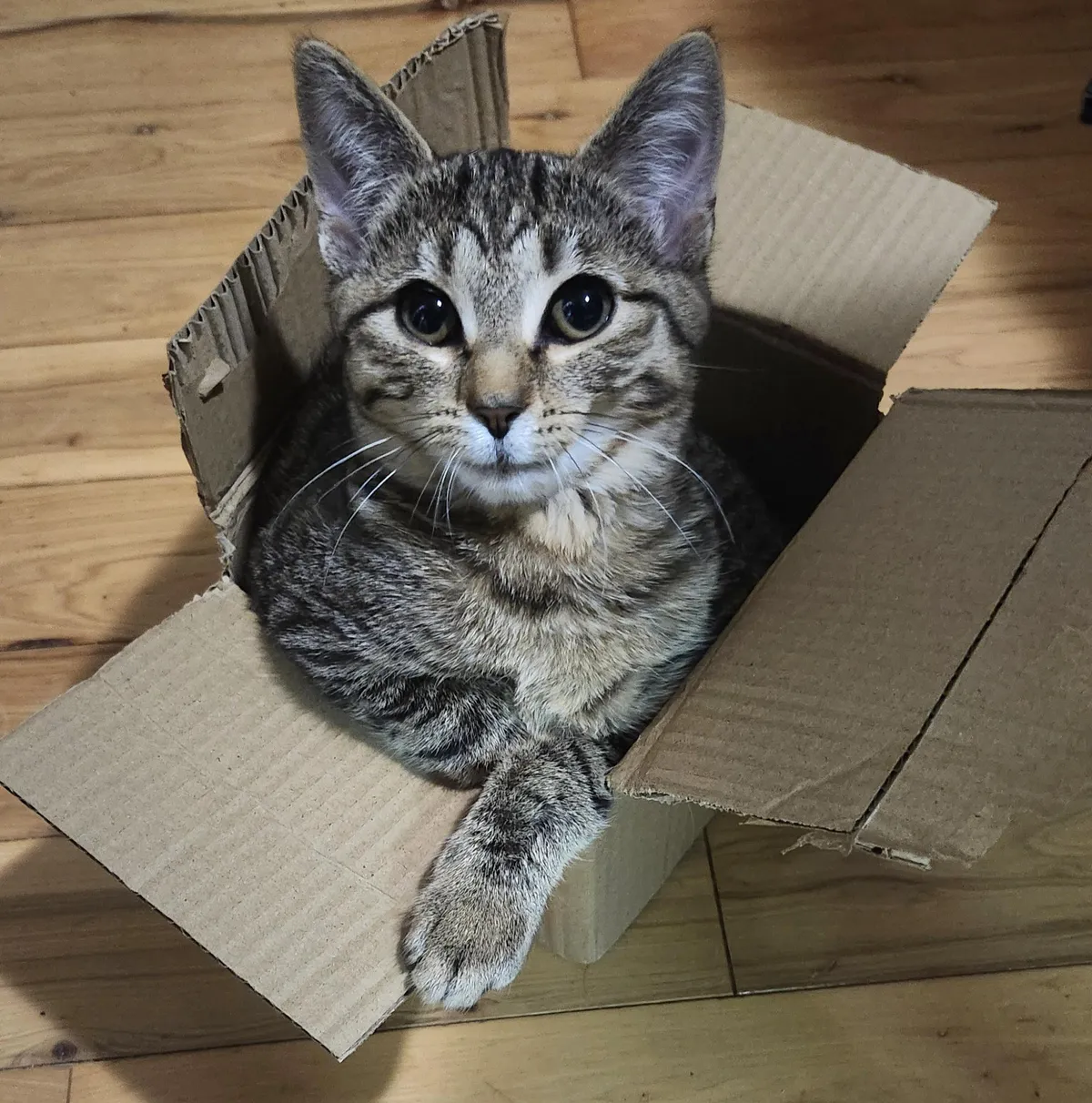 Why's she looking at me like that!? 😭