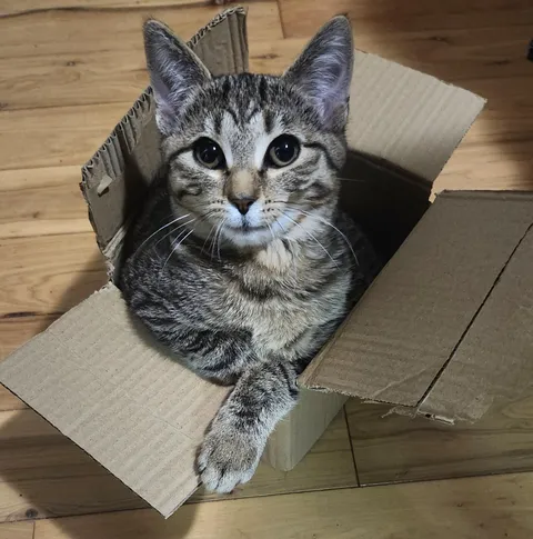 Why's she looking at me like that!? 😭