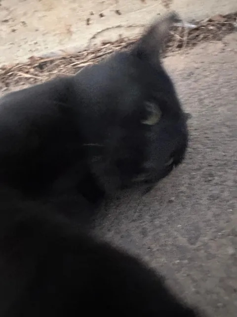 I think I really fucked up :(