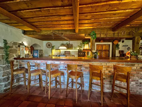 Turned the old staple to a cozy bar during Farmhouse renovation