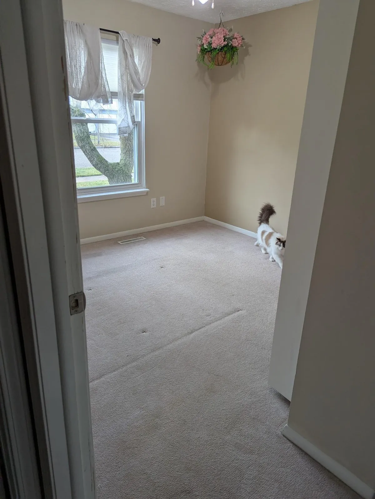 Wife and I decided to renovate her office floors