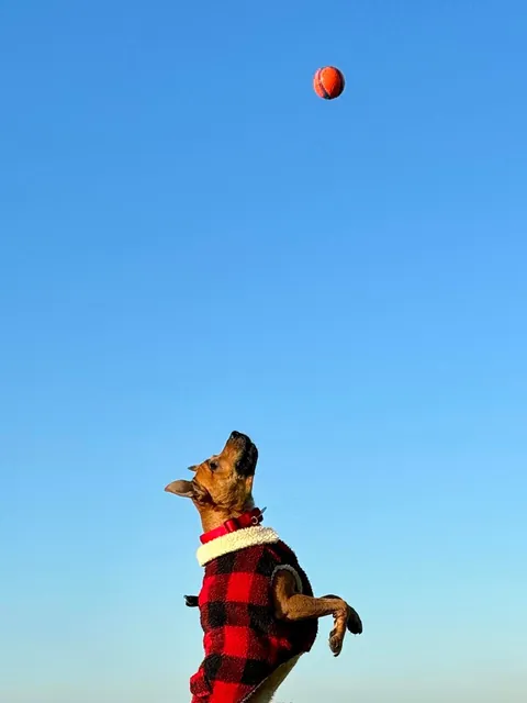 Hector through the years. Which is your favourite photo