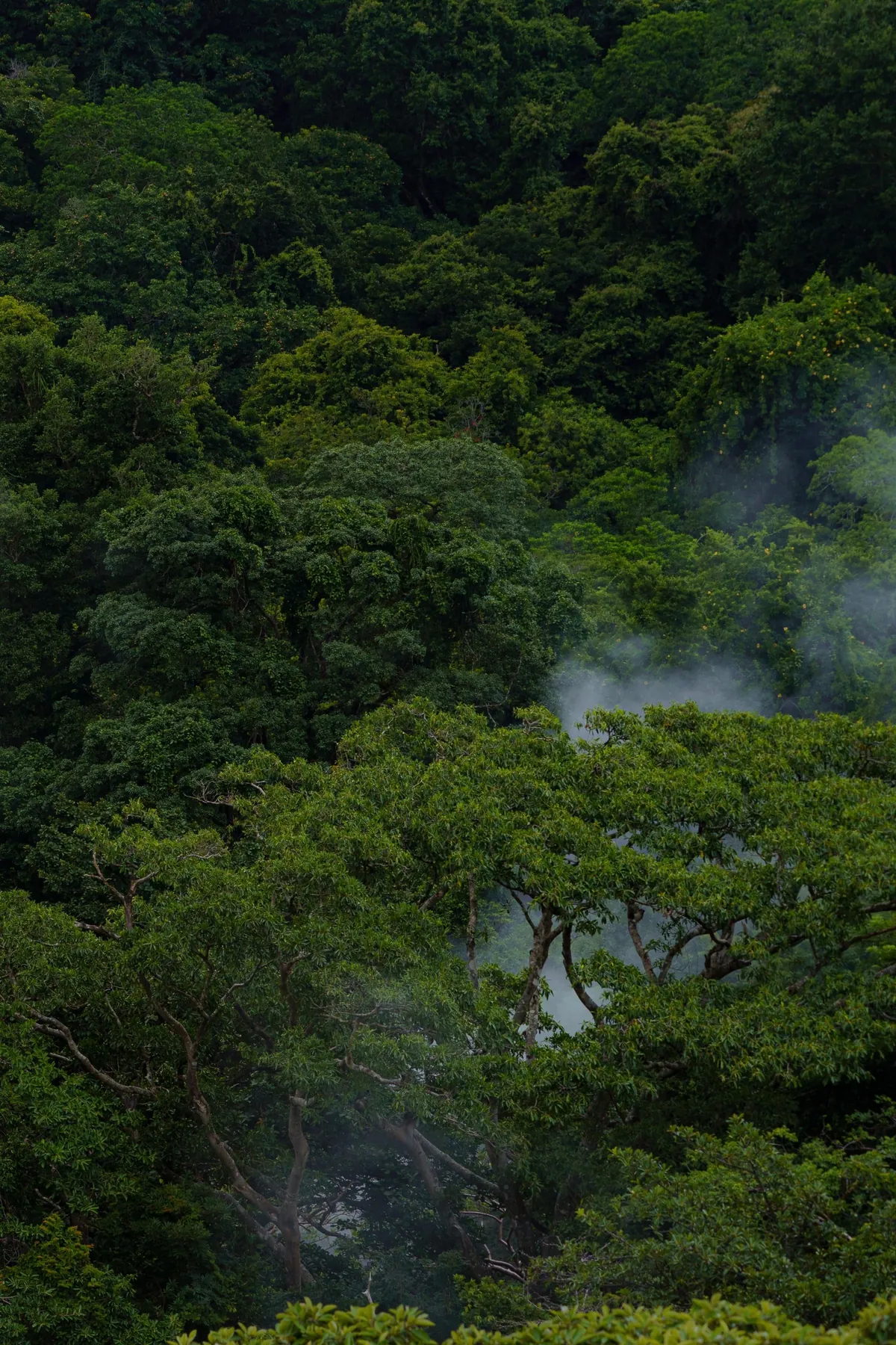 A little slice of pura Vida 📍 Costa Rica