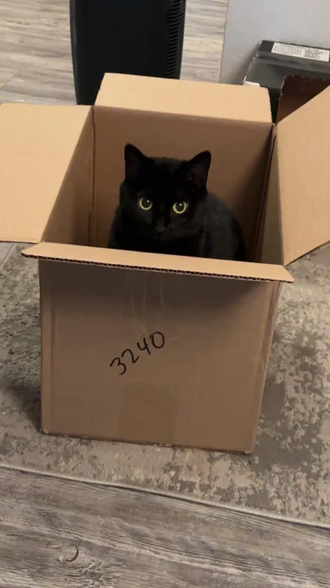 Luna says this is a good box