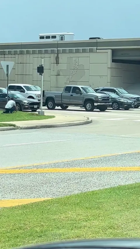 Humans helping feathered friends today in Cypress Texas (OC)