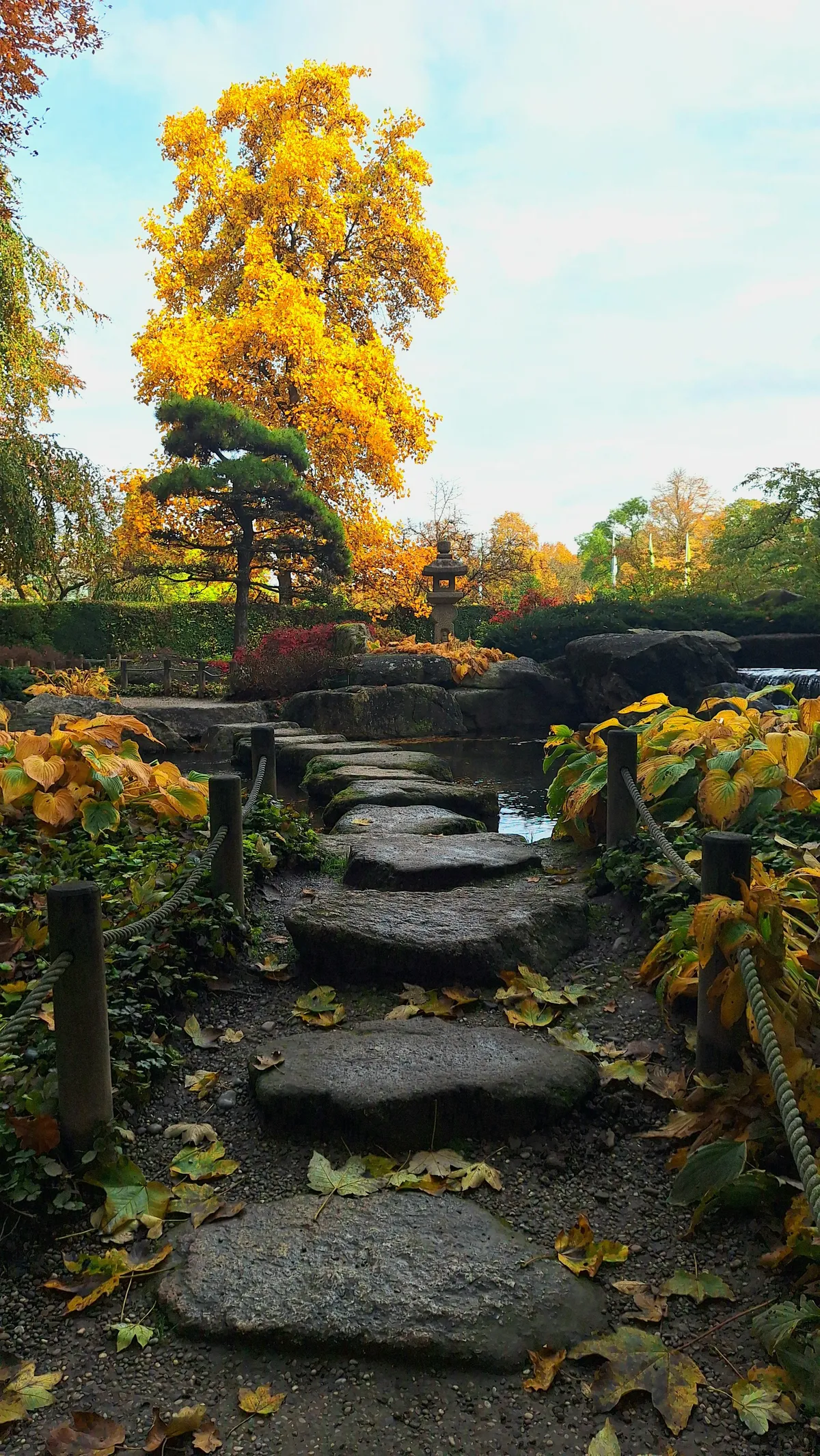 Thought you might like the shot i took of a few stones in a japanese garden