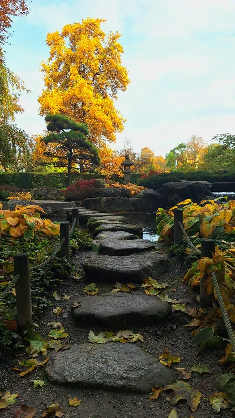 Thought you might like the shot i took of a few stones in a japanese garden