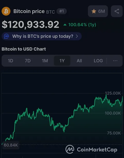 Bitcoin is up 100% in 1 year