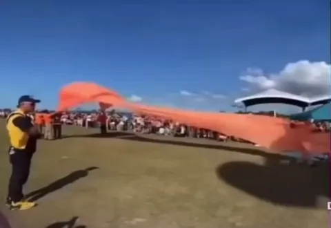 This child was lifted into the air by a kite