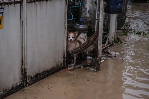 Look: Aftermath of Typhoon Tino in Cebu pics from Sunstar Cebu