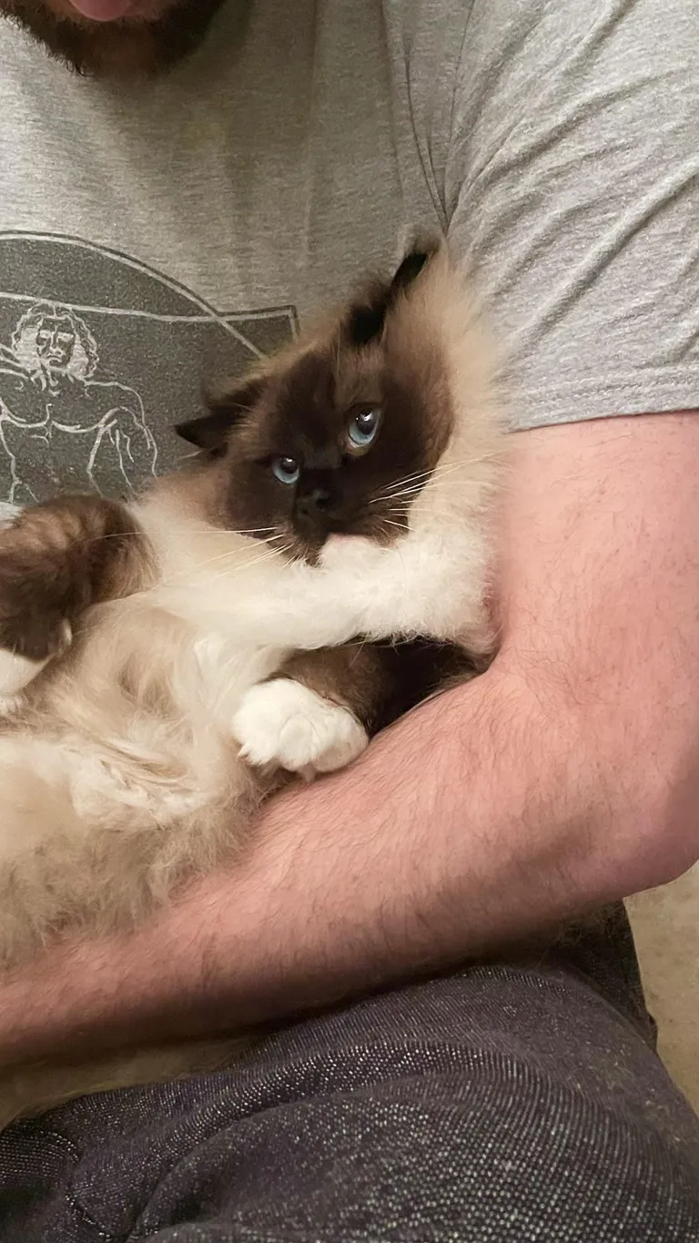 LOOK at that little face!!!!!