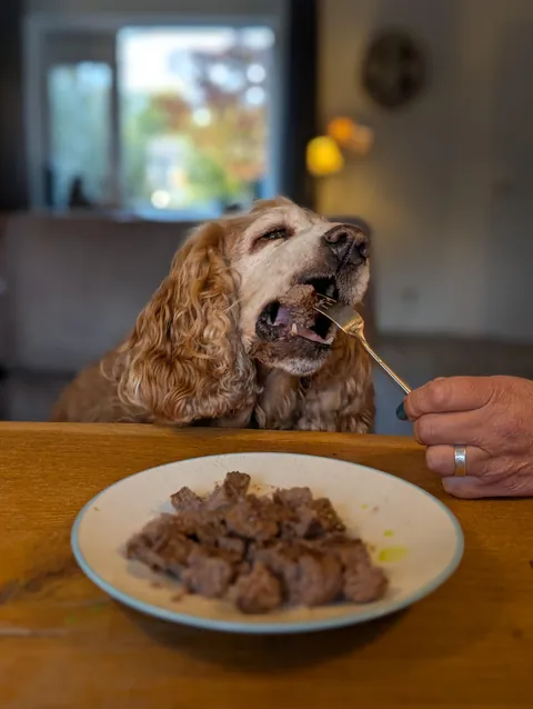 Another birthday for the birthday girl