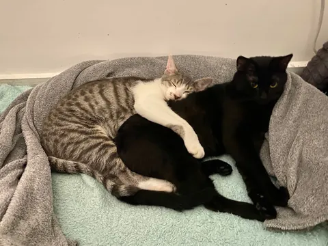 7 years with my Middle Eastern girl