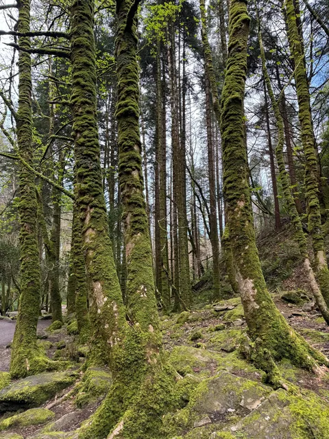 My trip to Ireland (Dublin, Killarney, and Galway)