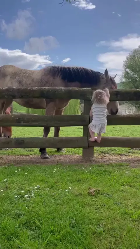 Love knows no fences
