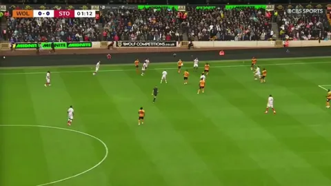 Wolves 0-[1] Stoke - Sam Gallagher great strike 2'
