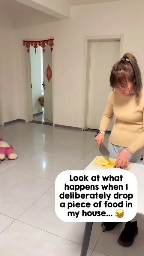 Mission Im-paw-sible