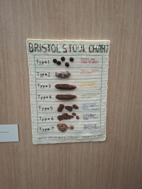 Crocheted poo chart in a hospital