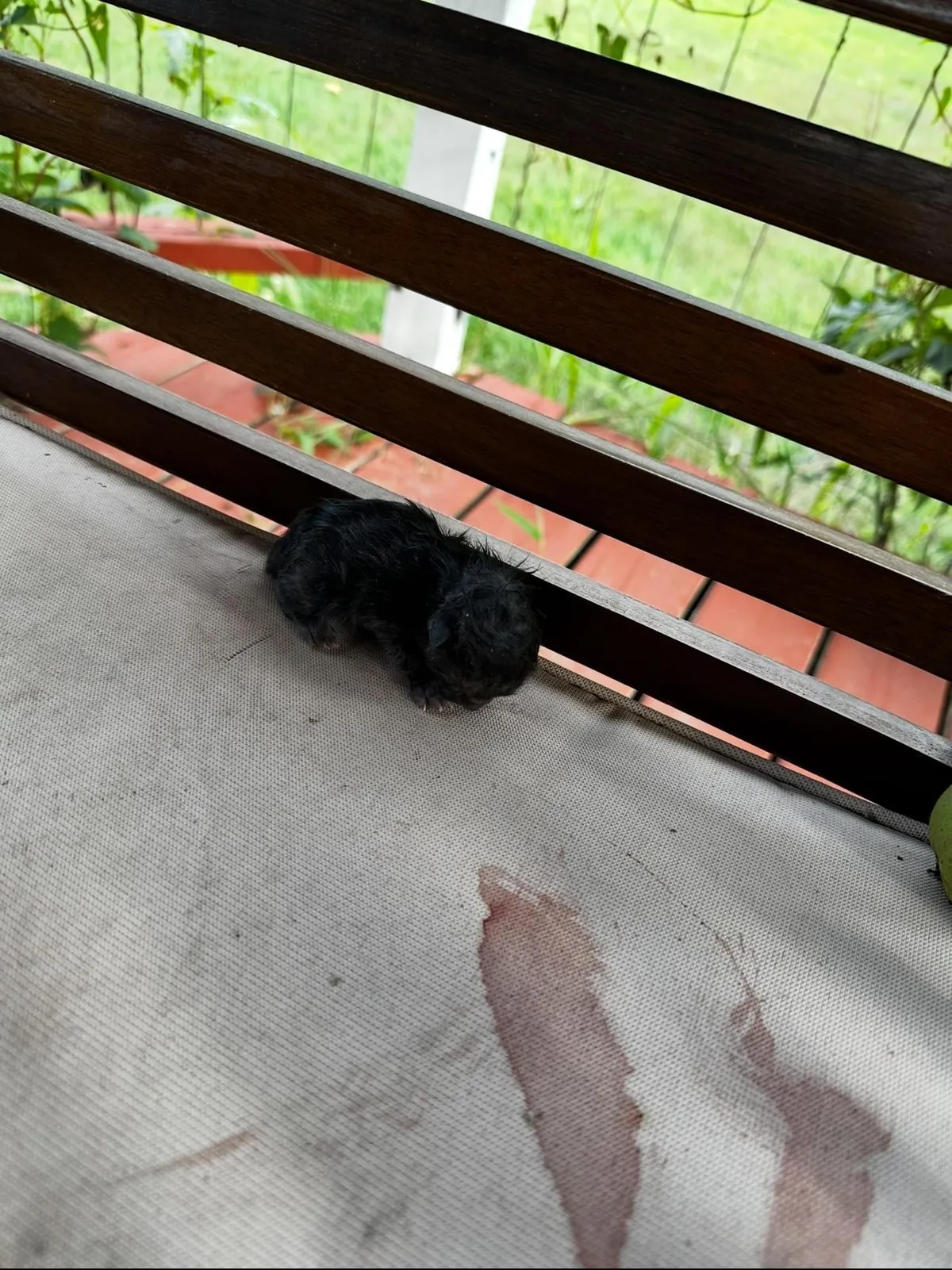 How it started 5 weeks ago. How it’s going now