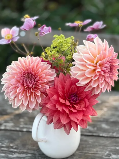 My Fall Garden 💚🌸🧚🍃🍁