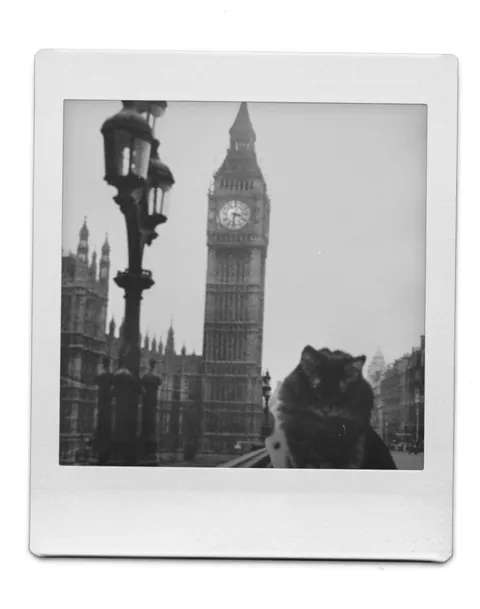 I made a calendar for my gf with edited photos of our void baby and I just needed to share them lol!