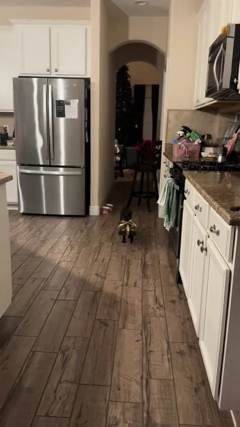 My gentleman also decided to please me