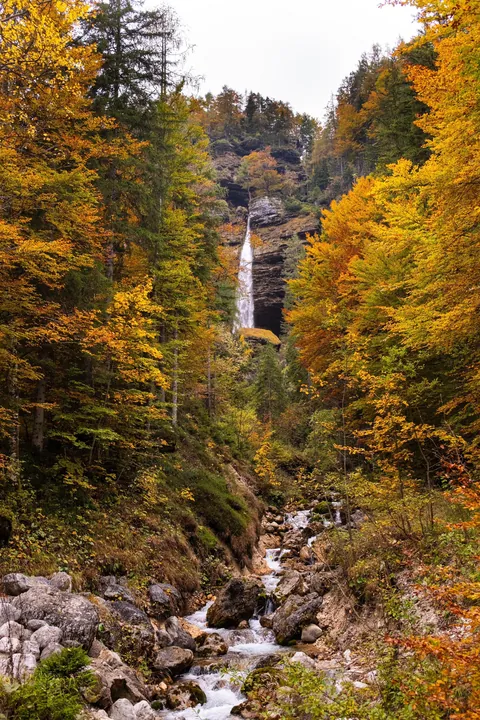 Didn’t know Slovenia was This Pretty in Fall 🍂🏞️