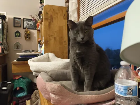 Lost my baby today to cancer. She was beautiful and perfect and I just want someone else to know she existed