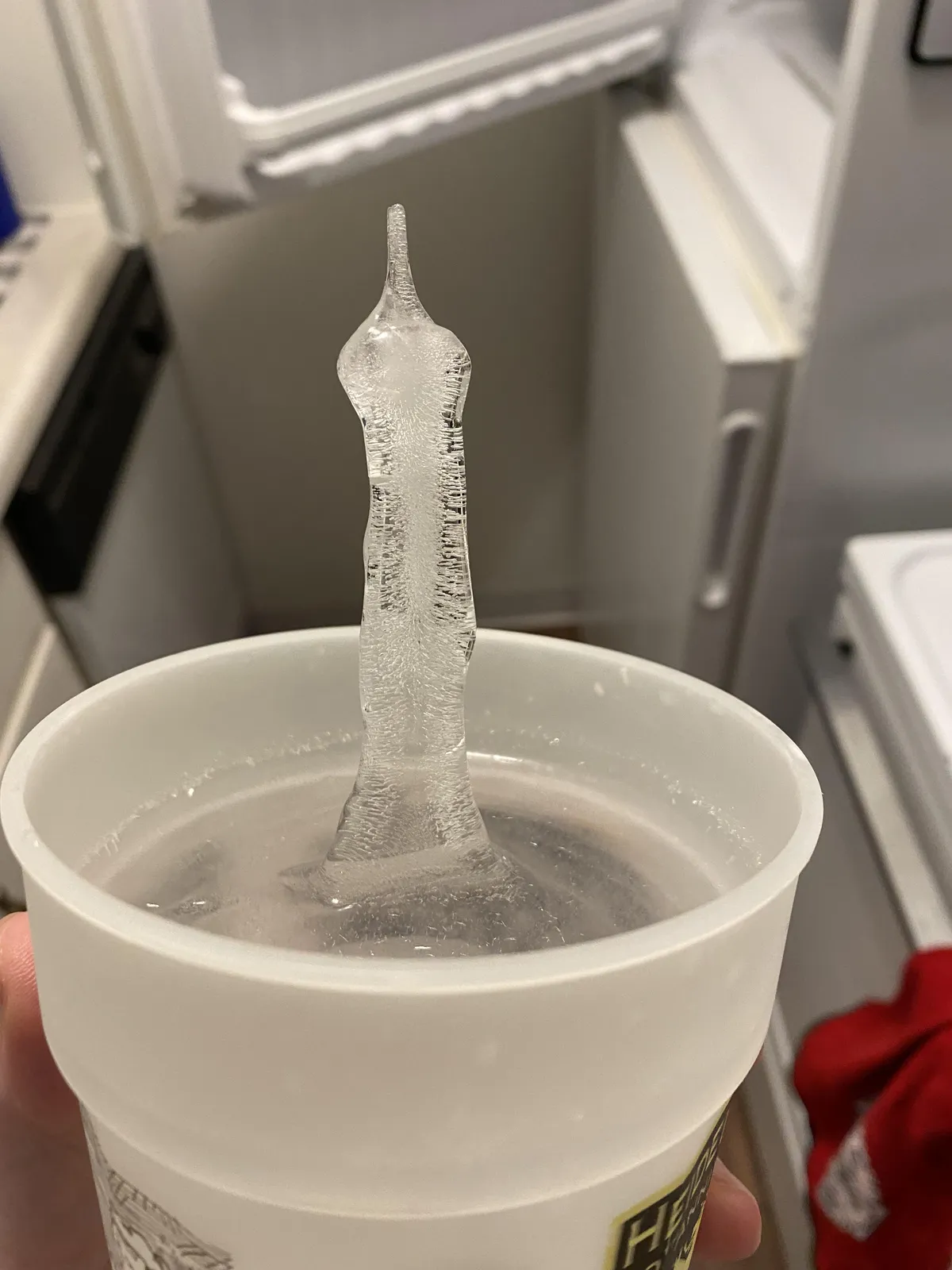 Cup of water created a strange ice formation after freezing for a few hours