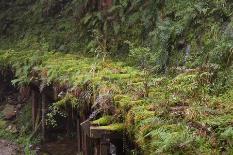 Abandoned tracks in Taipingshan, Taiwan [OC]