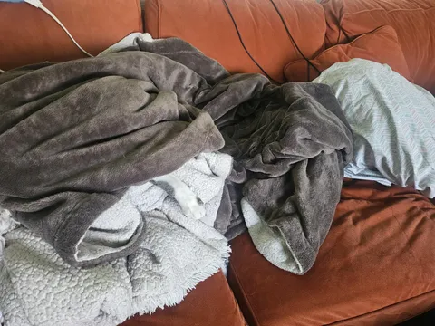 Almost sat on the cat 