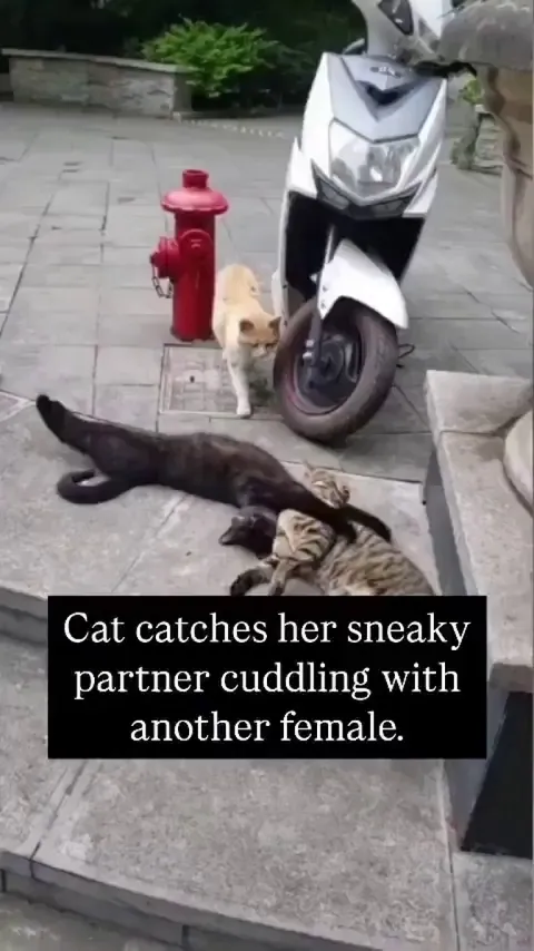 And the audacity to do it in public... --newsflare