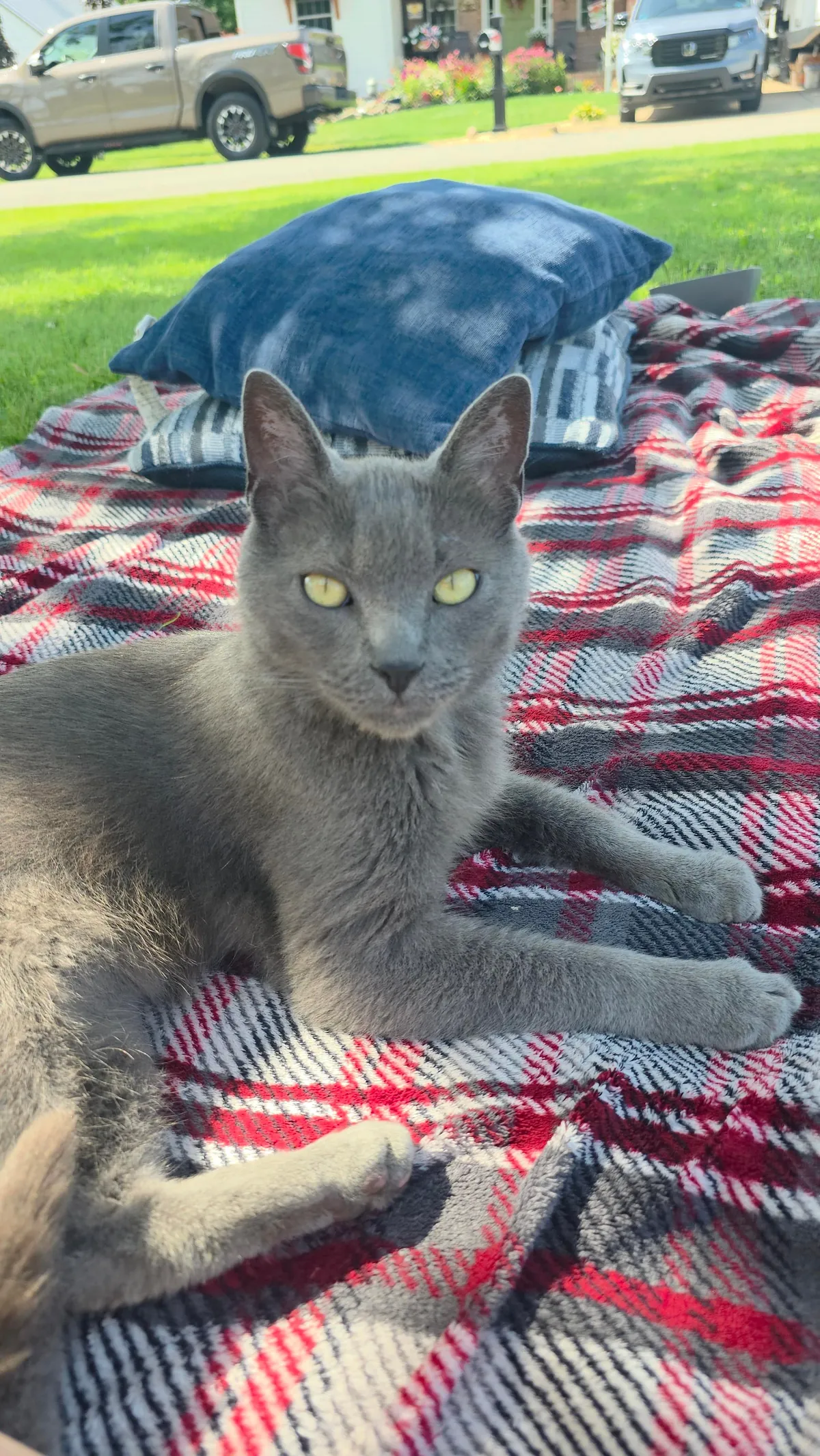 People are the worst