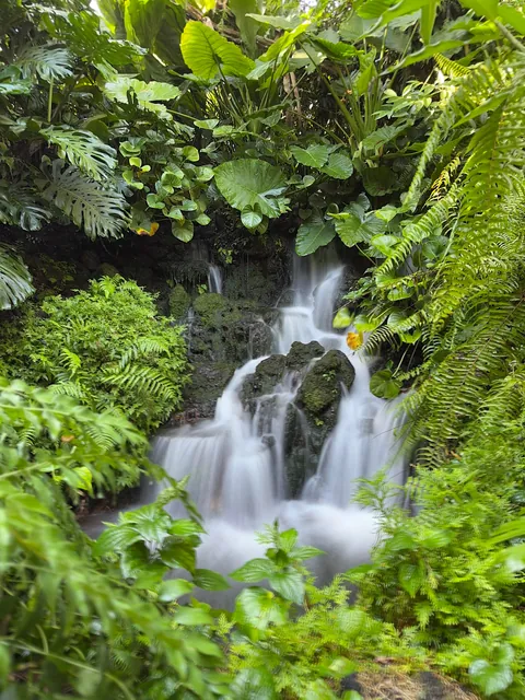 Brilliant but hard to get to know- Singapore 5-day trip