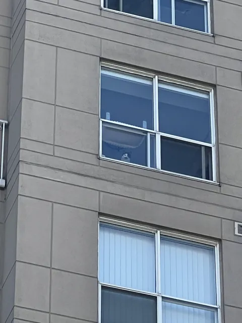 My cat doesn’t like it when I leave for work