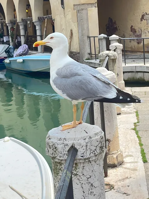 Am I a good photographer