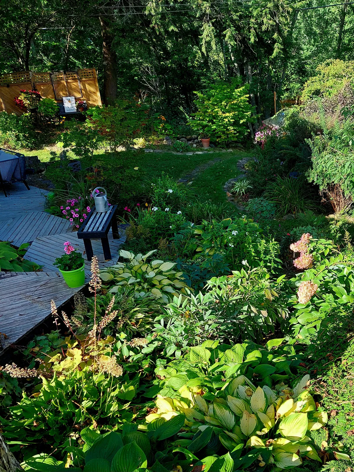 End of summer garden