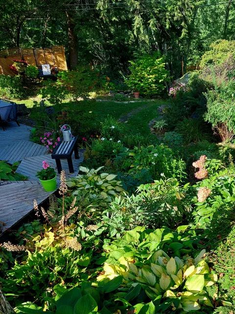 End of summer garden