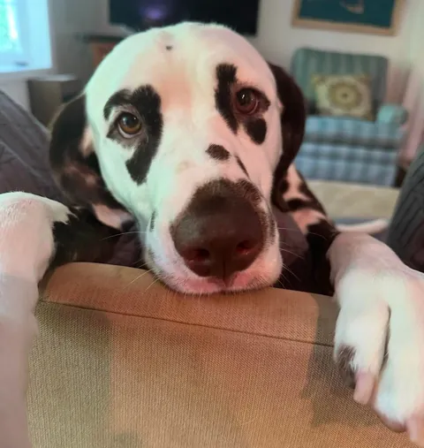 my richard then vs now. oh he was so small!!