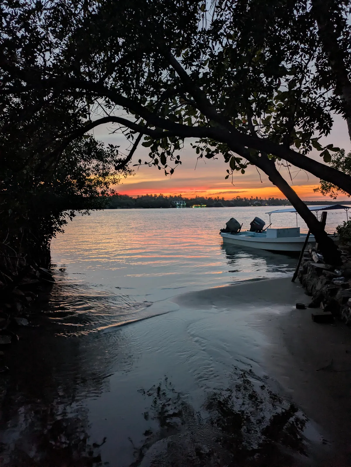 One Year in Latin America, Mexico to Patagonia